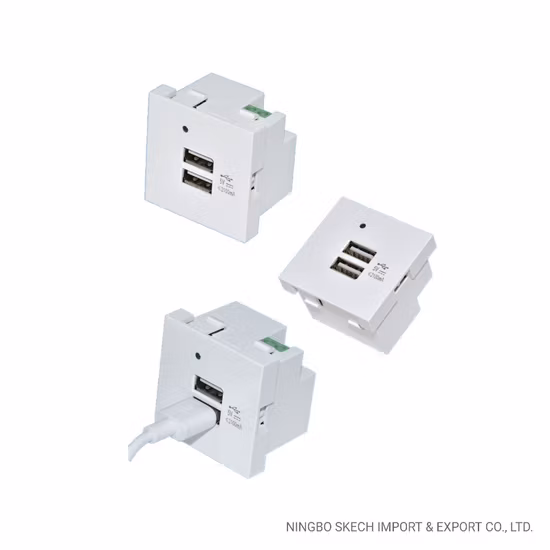 デュアルポート USB 充電モジュール 5.0V/2.1A USB タイプ a 急速充電器 45X45mm 充電ソケット LED ライト付き